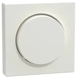 Merten Zentralplatte pws/gl MEG5250-0319