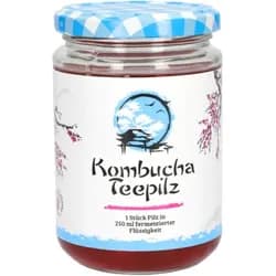 Kombucha Teepilz