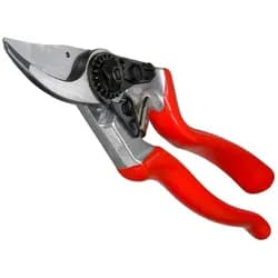 8 - Secateurs