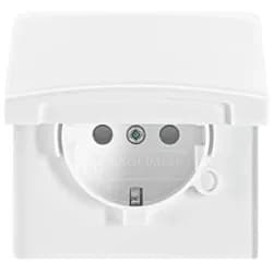 Busch-Jaeger Schuko-Steckdoseneinsatz 20 EUGKB-34-101