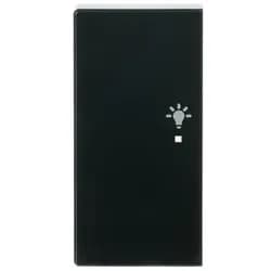 Busch-Jaeger Wippe 2-f li, Symbol Licht 6231-21-81