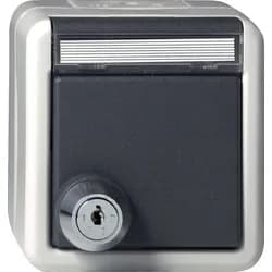 Gira Steckdose KD 456730