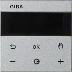 Gira RTR Display 539326