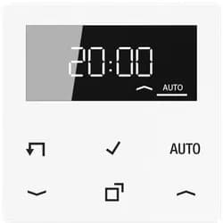 Jung Timer Standard, Display A 1750 D WW