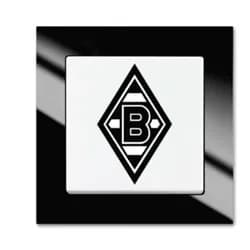 Busch-Jaeger Wechselschalter 2000/6 UJ/05