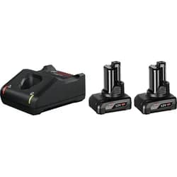Bosch 2x 6.0Ah, GAL 12V-40 Akku