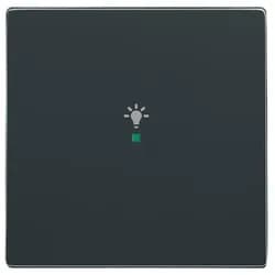 Busch-Jaeger Wippe 1-fach, Symbol Licht 6231-10-81