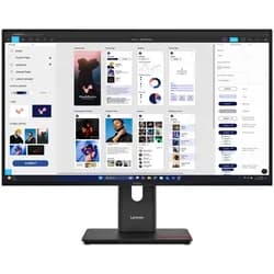 LENOVO ThinkVision T32UD-40, 31.5"