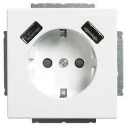 Busch-Jaeger SCHUKO-2x USB Steckdose 20 EUCB2USB-84