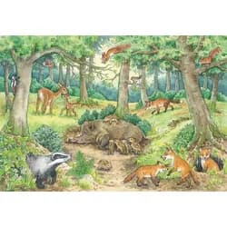 Ravensburger Puzzle Kinderpuzzle 2x12 Teile - Wieso? Weshalb? Warum? Tiere im Wald und ..., Puzzleteile