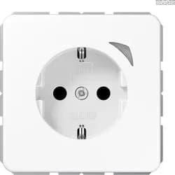 Jung SCHUKO Steckdose 16 A 250V BT CD 1521 SE WW