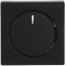 Busch-Jaeger Zentralscheibe sw mt 6540-885-102