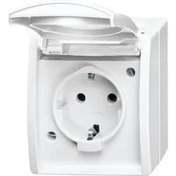 Busch-Jaeger Schuko-Steckdose 20 EW-54