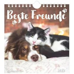 NEUMANN Terminplaner Beste Freunde 2027