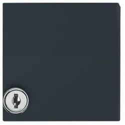 Busch-Jaeger Zwischenring anth 2118 GKSL-35
