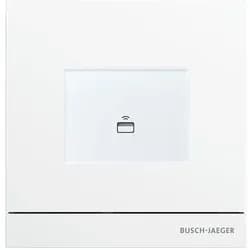 Busch-Jaeger Zutrittskontrolle außen 83100/72-664