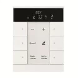 Busch-Jaeger Raumtemperaturregler SBR/U6.0.11-84