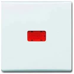 Busch-Jaeger Wippe aws 2107-34