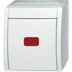 Busch-Jaeger Kontr.-Wechselschalter 2601/6 SKW-54