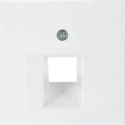 Berker Zentralstück pws/gl 14078989