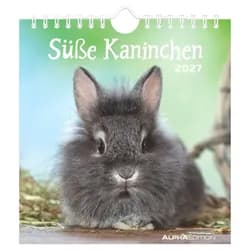 NEUMANN Terminplaner Süße Kaninchen 2027