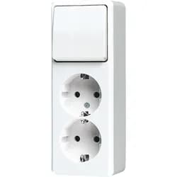 Jung SCHUKO-Zweifach-Steckdose 626 A WW