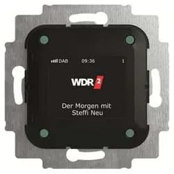Busch-Jaeger Busch-Radio DAB+