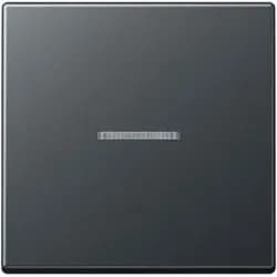 Jung Wippe mit Linse A 590 BF KO5 ANM