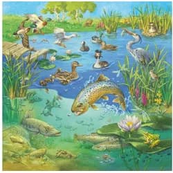 Ravensburger Puzzle Ravensburger Puzzle Tiere 3x49 Teile, Puzzleteile
