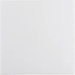 Berker Wippe pws/gl 16208989