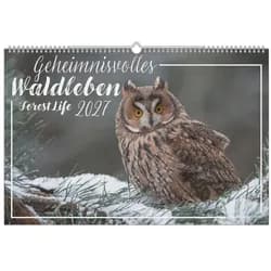 NEUMANN Wandkalender Geheimnisvolles Waldleben 2027