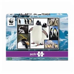 BrainBox Puzzle AMBASSADOR - Pinguine 1000 Teile, 1000 Puzzleteile
