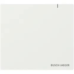 Busch-Jaeger System Access Point SAP.13
