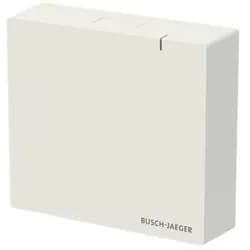 Busch-Jaeger System Access Point SAP.13