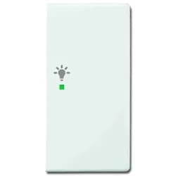 Busch-Jaeger Wippe 2-f re, Symbol Licht 6231-22-84