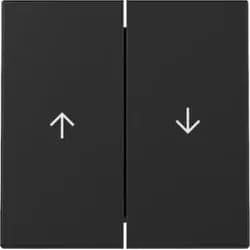 Gira Wippe 2f Pfeil 3294005