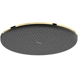 hansgrohe Raindance Alive S Kopfbrause 300 1jet, Polished Gold Optic