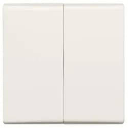 Busch-Jaeger Wippe ws 2105-32