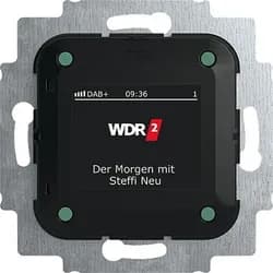 Busch-Jaeger Busch-Radio DAB+
