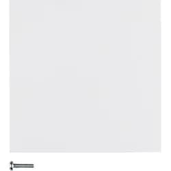 Berker KNX-Funk Taste 1fach 85145189
