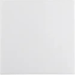 Berker Wippe pws/gl 16208989