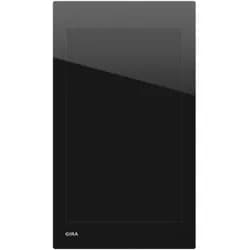Gira Displaymodul G1 207305