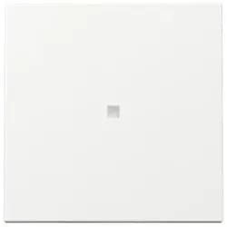 Gira Wippe Kontrollf. 329003