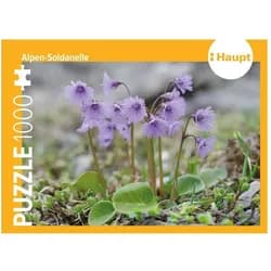 Haupt Puzzle Alpen-Soldanelle - Puzzle. 1000 Teile, 1000 Puzzleteile