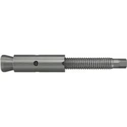 fischer Zykon-Steigeisenbefestigung FZA 14x40 ST A4