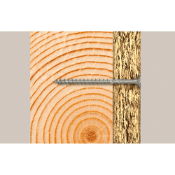 fischer Schraube