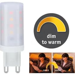 Paulmann LED-Standardlampe 288.19