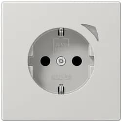 Jung SCHUKO Steckdose 16 A 250V BT LS 1521 SE LG