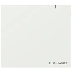 Busch-Jaeger System Access Point SAP.13