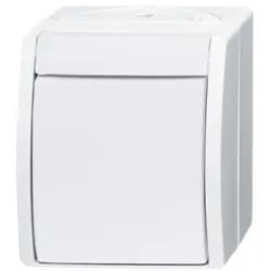 Busch-Jaeger Ausschalter 2601/2 W-54